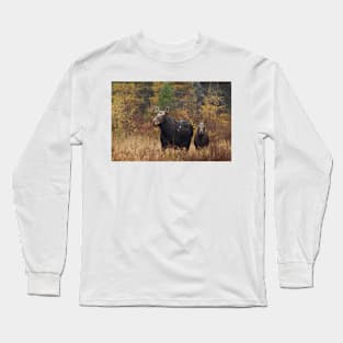 Moose - Algonquin Park, Canada Long Sleeve T-Shirt